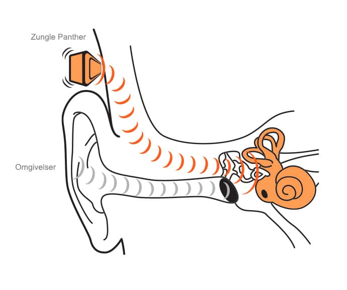 zungle panther headphones sunglasses solbriller øretelefoner, hørebøffter høre telefoner virker de anmeldelse test af konduktion knogleledning