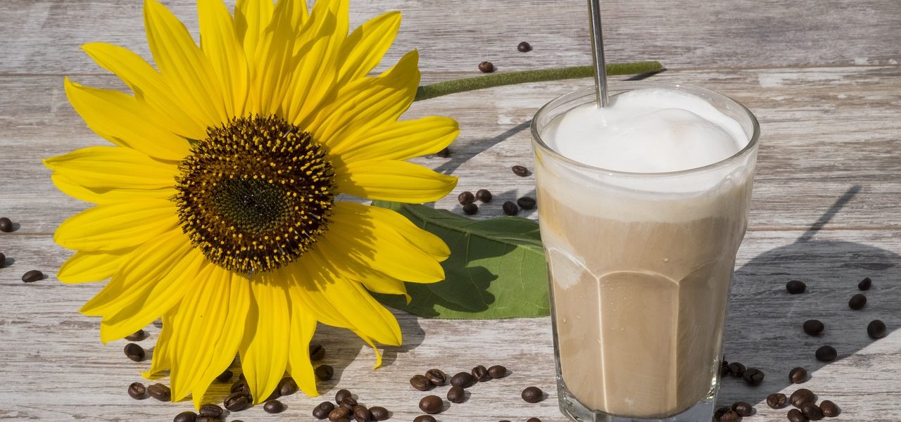 iskaffe is kaffe opskrift sådan laver du hvordan laver man iced coffee opskrift let og hurtig