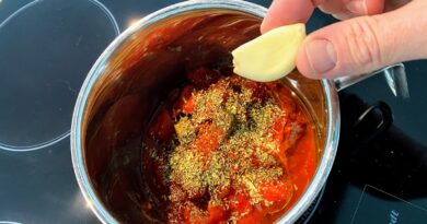 opskrift tomatsauce hjemmelavet god med chili og oregano basilikum timian pizza pastaret pasta spaghetti med hvidløg