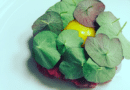 opskrift på tatar tartar med confiteret æggeblomme og chips af skorzonerødder