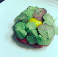 opskrift på tatar tartar med confiteret æggeblomme og chips af skorzonerødder