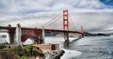 top 5 steder i San Francisco franscisco must-see must-visit familie hvad skal man se søløver Golden Gate Bridge SF Fishermans dwarf lompard street
