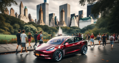 Lidt blandet om Tesla og det at være ny ejer