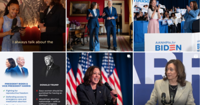 hvem er Kamala Harris photo from Kamalas instagram portræt politiske kariere