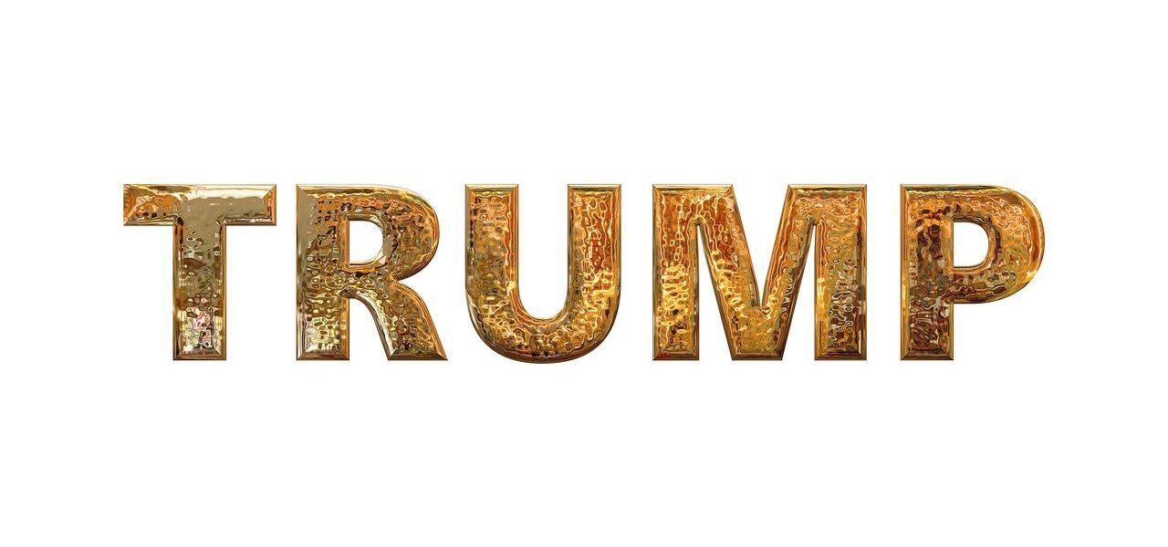 hvem er donald trump photo from pixabay.com royaltyfree portræt politiske kariere