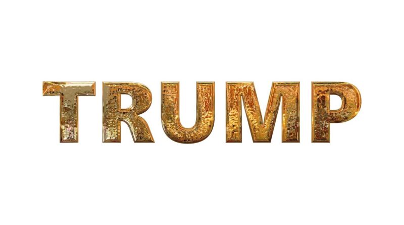 hvem er donald trump photo from pixabay.com royaltyfree portræt politiske kariere