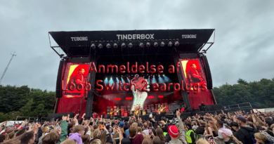 test loop switch 2 erfaring med anmeldelse af