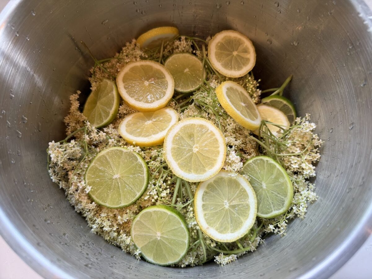 Skær citroner og evt. lime og kom på opskrift på hjemmelavet hyldeblomstsaft hyldeblomst saft hjemmelavet hvordan laver man god måde