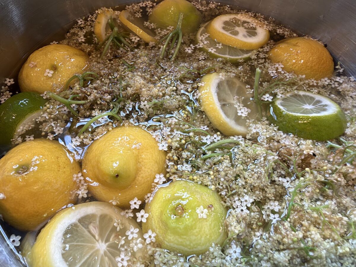 Så skal det bare på køl i 3-4 dage opskrift på hjemmelavet hyldeblomstsaft hyldeblomst saft hjemmelavet hvordan laver man god måde