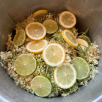 opskrift hjemmelavet hyldeblomstsaft den bedste saftevand hyldeblomst saft hvordan laver man